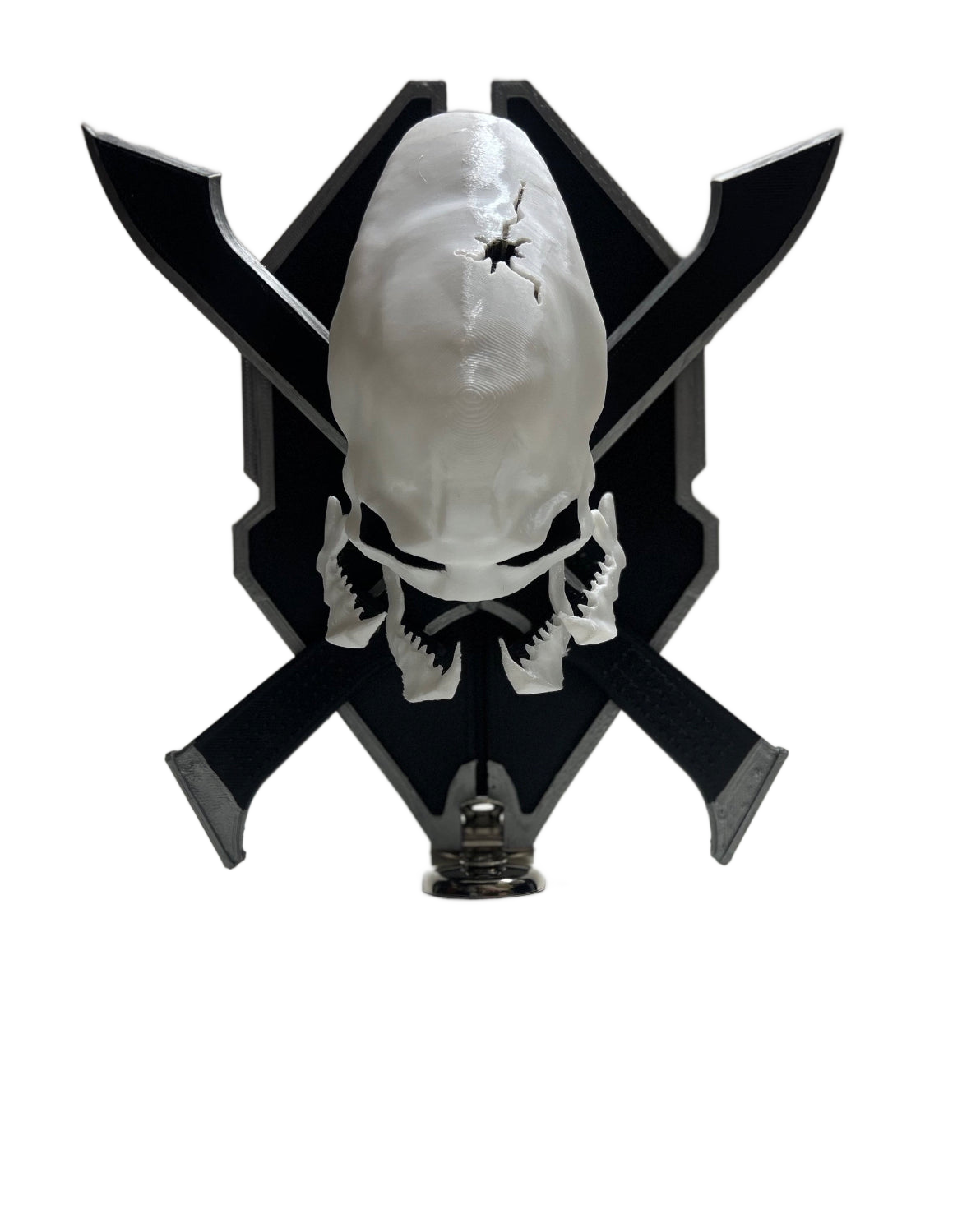 Selected Variant Image